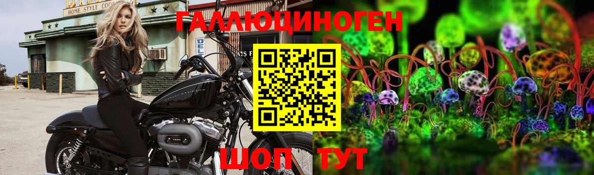 Валуйки  Галлюциногенные грибы MAGIC MUSHROOMS  Вход с VPN 